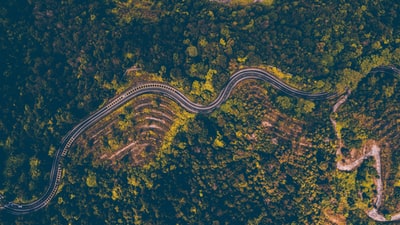 绿化树木环绕道路的航空摄影